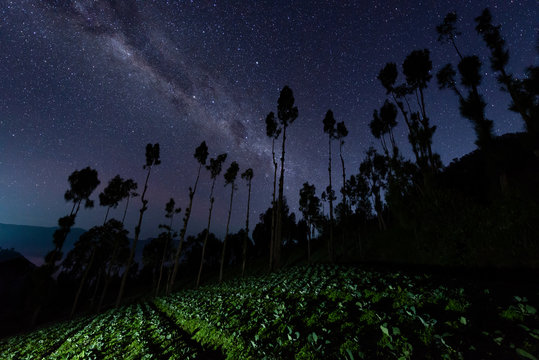 Milky way over a cabbage field near Mount Bromo, East Java, Indonesia