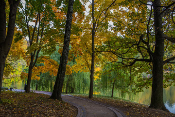 Naklejka na ściany i meble Golden autumn in a city park