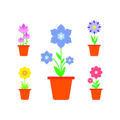 Spring Flowers In Pots, Isolated On White Background. Vector Illustration