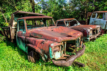 Rusted truck in the forest, Old car, Vintage car