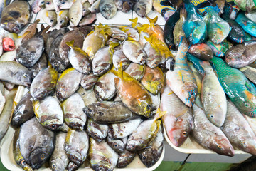 assortment of fresh fishes at fishmonger. Tropical fish in a seafood store. Fresh seafood market in Asia.