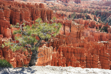 Bryce-Canyon-Nationalpark