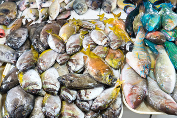 assortment of fresh fishes at fishmonger. Tropical fish in a seafood store. Fresh seafood market in Asia.