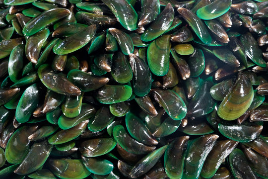 Close-up heap of raw fresh mussels on counter at local fish market. Heap of Nutritious shellfish mollusk at seafood store. Asian green mussel. Sea mussels. Close up of a stall with freshly fished