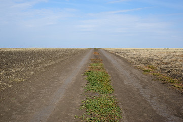 autumn field after harvest, view from the road