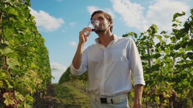 Handsome young man in white outfit drinking pinot from wineglass enjoying taste on private wine tasting tour. Winery concept.