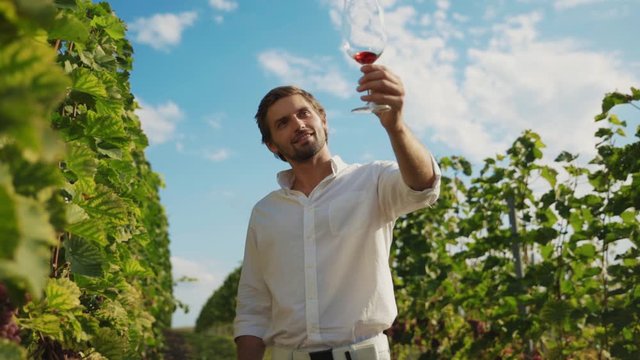 Young wealthy man in white T-shirt evaluating red wine at tasting. Sommelier tasting pinot on grape harvest in vineyard.
