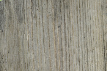 Obraz premium Surface of Split Firewood