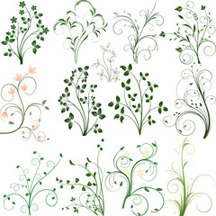 Floral pattern art decoration design illustration
