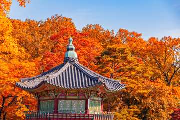 Beautiful  Autumn in Gyeongbokgung palace, Hyangwonjeong pavilion in Seoul of South Korea