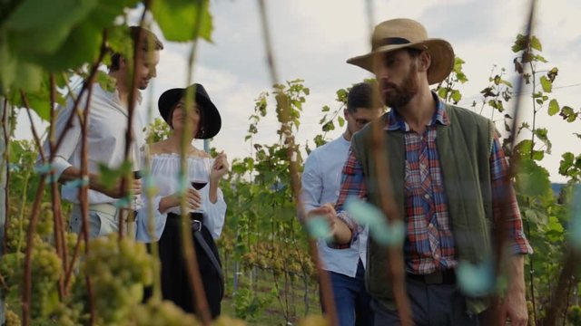 On private winetasting tour handsome vintner showing grape harvest crops guiding people about winemaking at vineyard.