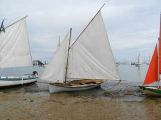 Fototapeta premium sailing boat in sea