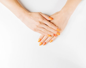 Female hands with professional manicure of orange color.