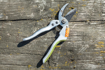 Pruning shears