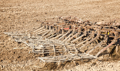 Harrowing the soil with tine harrows
