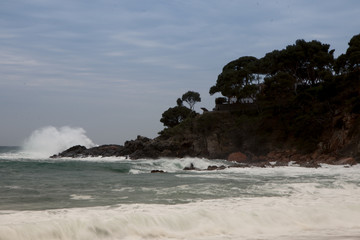 natural landscape of sea rocks and sand