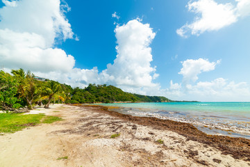 White clouds over Pointe de la Saline beach in Guadeloupe