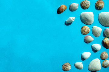 Colorful sea shells on blue background with copy space. Top view