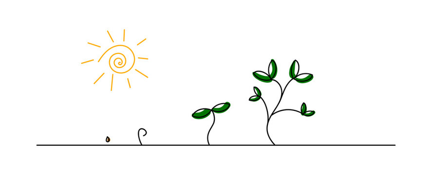 piantare, seme,  piantine, fotosintesi, sole, luce solare