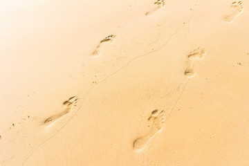 Fototapeta na wymiar Barefoot footprints of two people in the sand, tropical beach or dune and desert background
