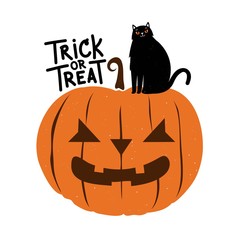 Halloween greeting card with black cat and pumpkin. Trick or treat lettering words.