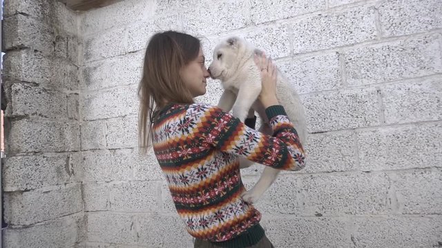 girl raises a dog alabai in her arms