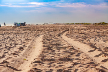 Shot of car tracks in the sand at the beach.