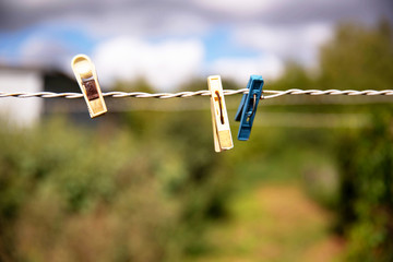 Three plastic clothespins hang from a coiled wire.