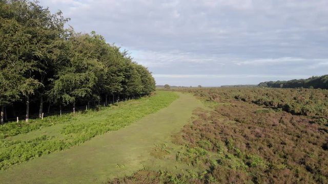 An aerial low altitude forward footage of the New Forest along a grassy path with trees and heartland under a white cloudy sky