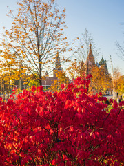 Beautiful view of Zaryadye landscape park with the steeples of the Kremlin and the St Basil`s Cathedral in the background on a sunny autumn evening.