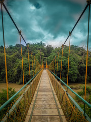 Obraz premium bridge in forest