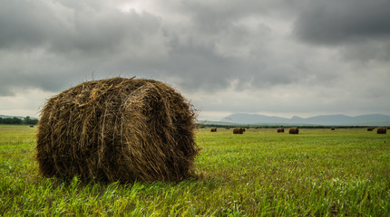 Haystack in field in front of sayan mountains during cloudy summer day