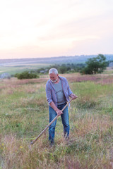 Naklejka na ściany i meble Elderly man with grey hair and beard mowing grass in a field