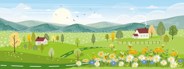 Poster Schattige cartoon panorama landschap van lente veld en wilde bloemen met familie bijen vliegen, mooie kaart met zon, wolk en honingbij verzamelen stuifmeel op bloemen in zonnige dag, zomer achtergrond © Anchalee
