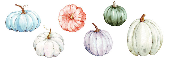 Beautiful pumpkins on isolated white background. Autumn set of elements on isolated white background. Watercolor illustration. Hand drawing. It is perfect for thanksgiving cards or posters, halloween 