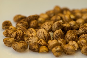 Right Hazelnuts kernels in the background.
