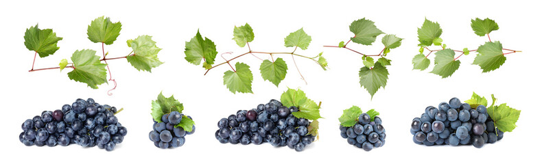Set of fresh juicy grapes and leaves on white background