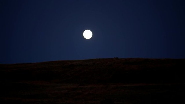 The moon rises in a clear blue sky. Evening, the onset of darkness. Full moon.