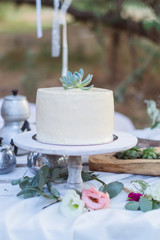 Wedding cake in the style of a deer with succulent