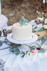 Wedding cake in the style of a deer with succulent