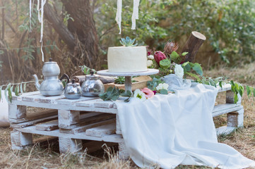 Wedding cake in the style of a deer with succulent at the forest.  Outdoor wedding