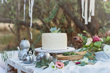 Wedding cake in the style of a deer with succulent. Outdoor wedding