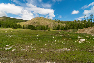 Fototapeta na wymiar Typical Mongolian landscape near Ulaanbaatar