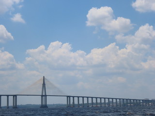 Bridge in manaus