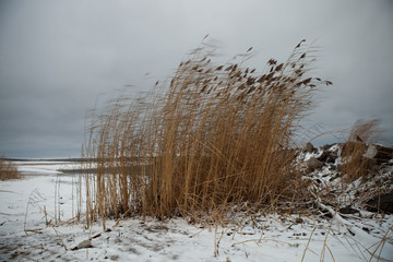 Autumn, the first snow