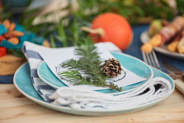 Cone, spruce branch and small pumpkin on napkin in plate on the festive autumn table