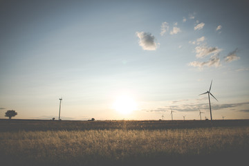 wind turbines during sunset