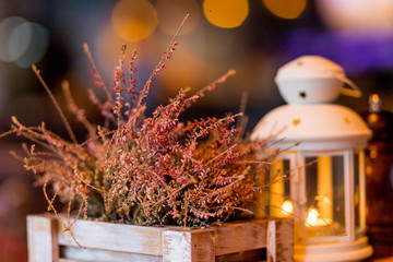 Autumnal decorated terrace.Seasonal home garden autumn decoration with heather flower.White lantern and heath plants in white wooden box.Autumn arrangement with burning candle.Toned image