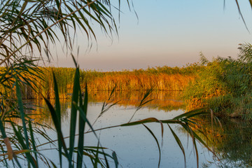 Dnieper floods on the Dnieper River