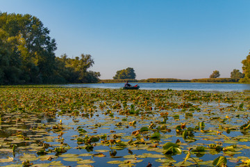 Dnieper floods on the Dnieper River